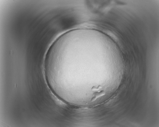 X0000068771478200605121649