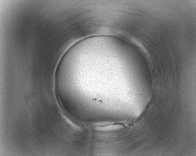 X0000068771479200605121649