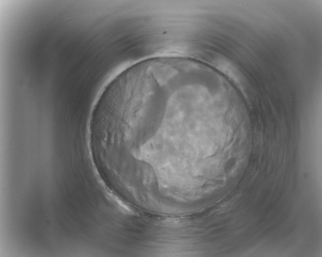 X0000068771480200605121649