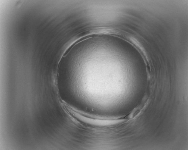 X0000068771481200605121649