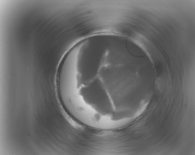 X0000068771482200605121649