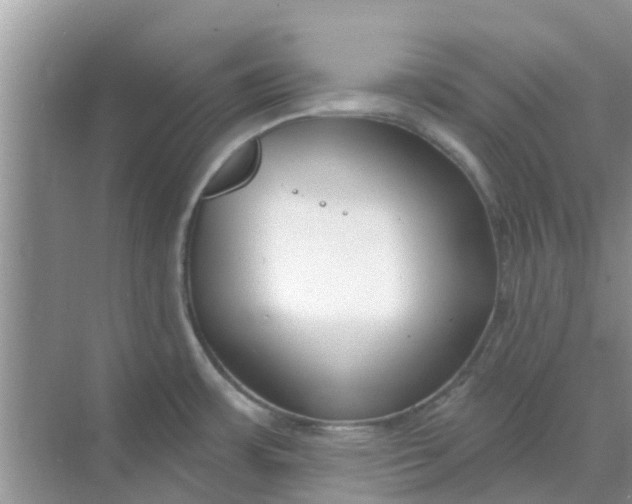 X0000068771483200605121649