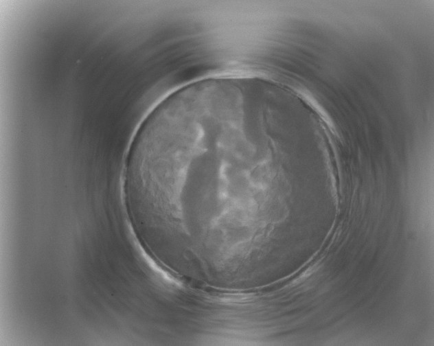 X0000068771484200605121649