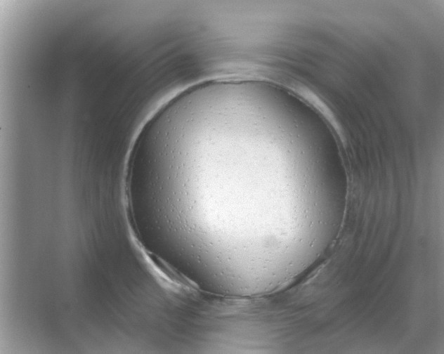 X0000068771485200605121649