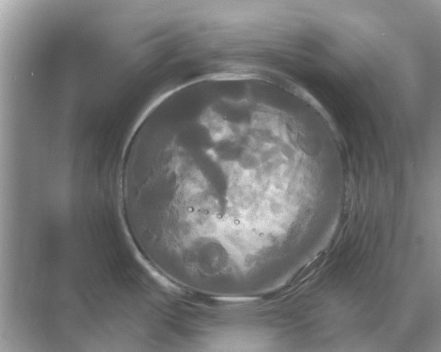 X0000068771487200605121649