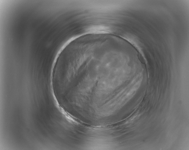 X0000068771488200605121649