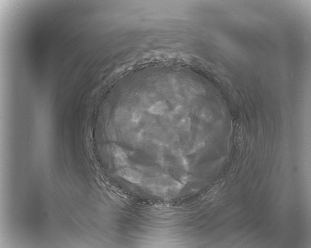 X0000068771489200605121648