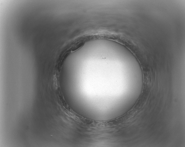 X0000068771493200605121648