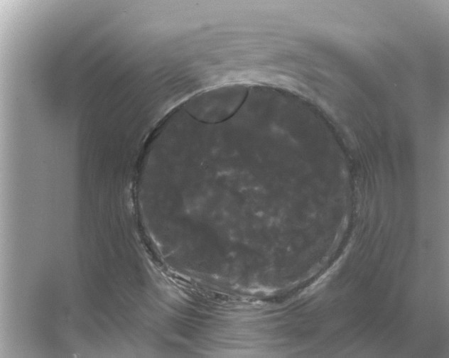 X0000068771497200605121648