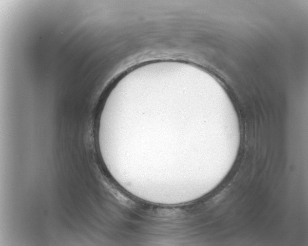 X0000068771498200605121648