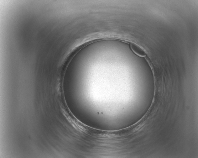 X0000068771499200605121648