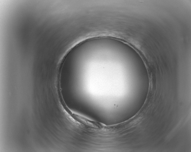 X0000068771500200605121648