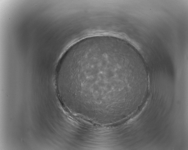 X0000068771501200605121648