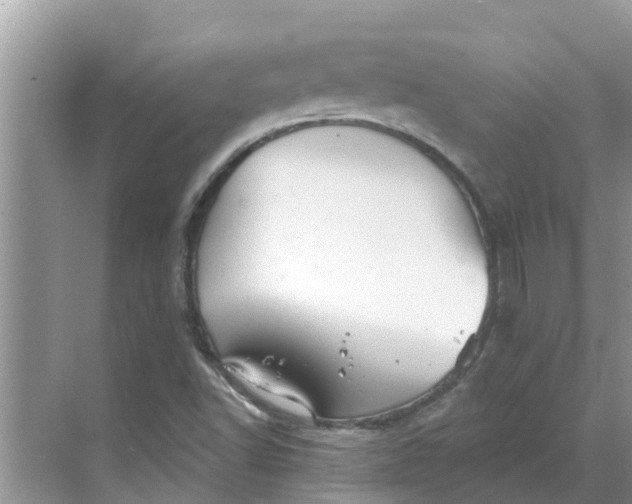 X0000068771502200605121648