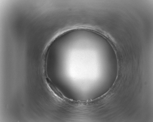 X0000068771504200605121648