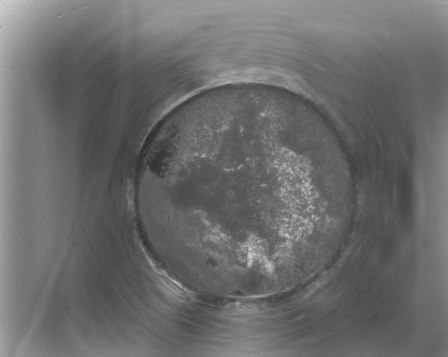 X0000068771505200605121648