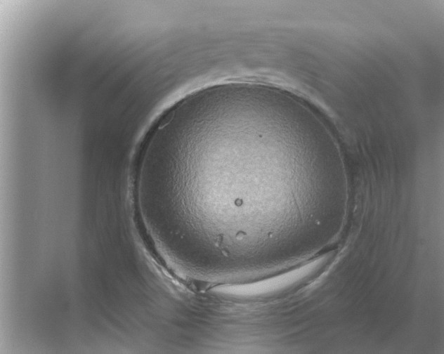 X0000068771506200605121648