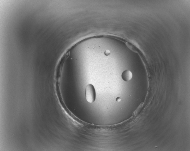 X0000068771508200605121648