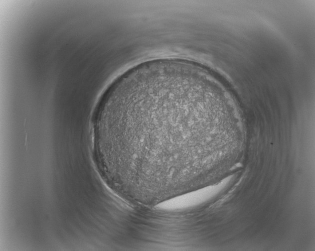 X0000068771509200605121648