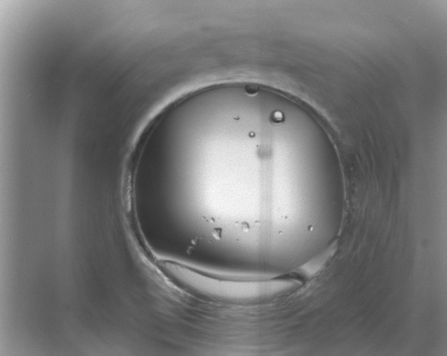 X0000068771510200605121648