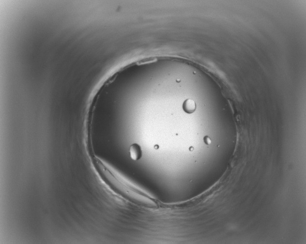 X0000068771512200605121648