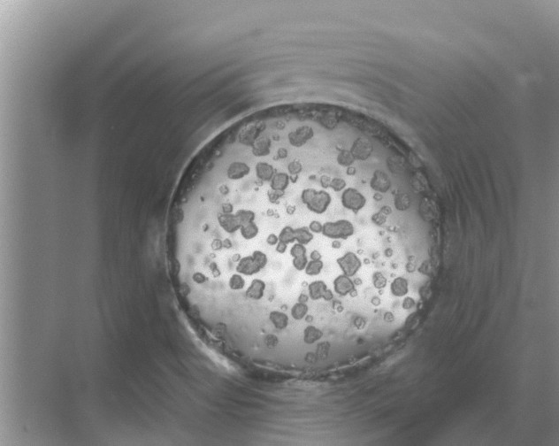 X0000068771513200605121648