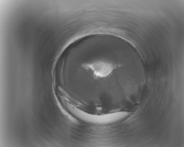 X0000068771515200605121648