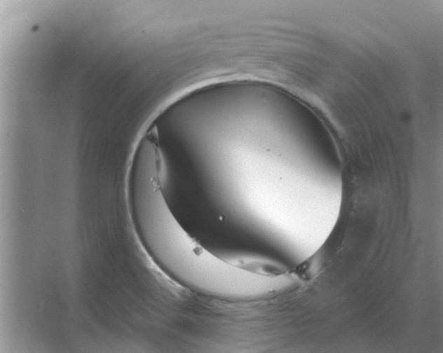 X0000068771516200605121648