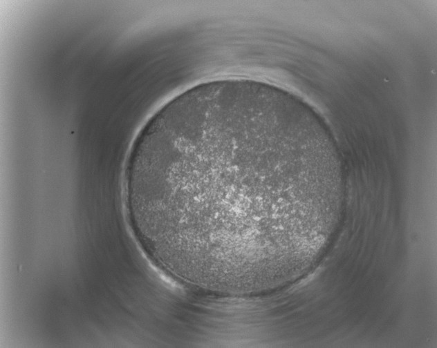 X0000068771517200605121648