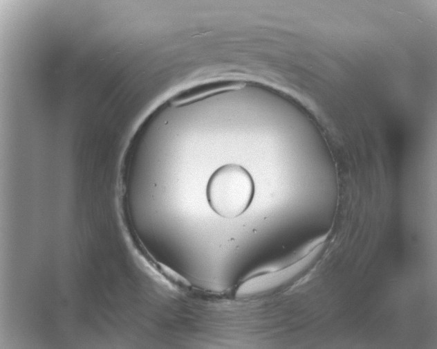 X0000068771518200605121648