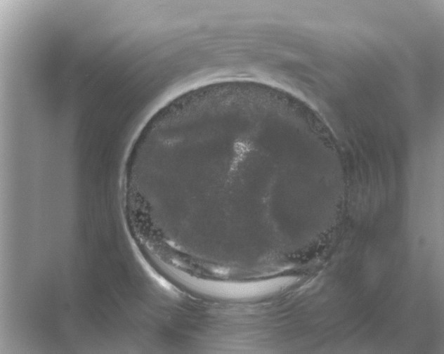 X0000068771519200605121648