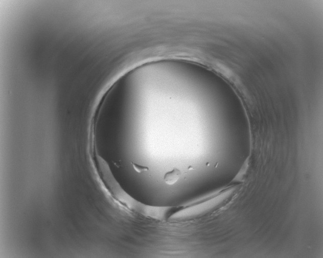 X0000068771520200605121648