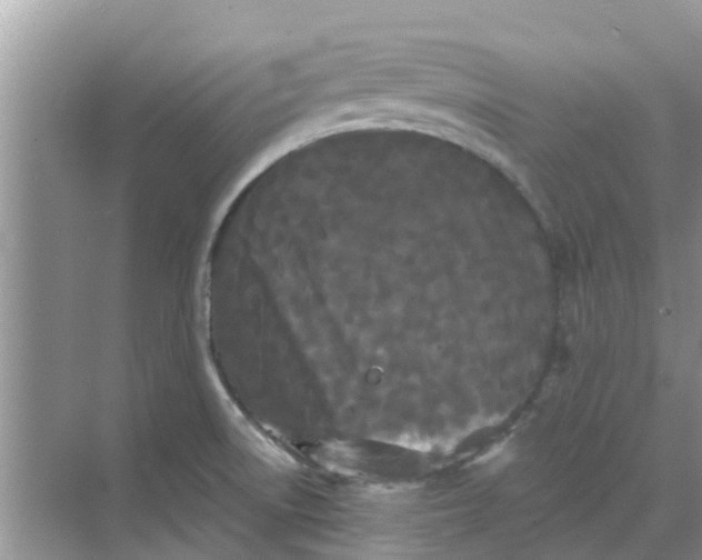 X0000068771522200605121648