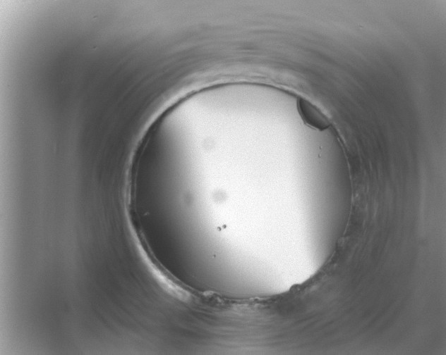 X0000068771523200605121648