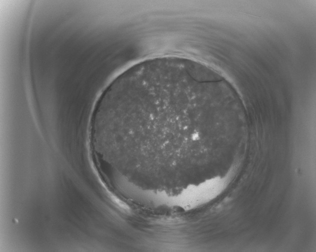 X0000068771525200605121648