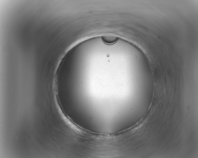 X0000068771526200605121648