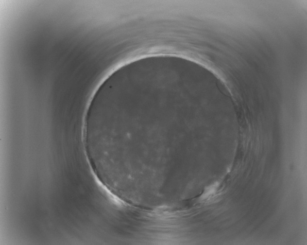 X0000068771527200605121648