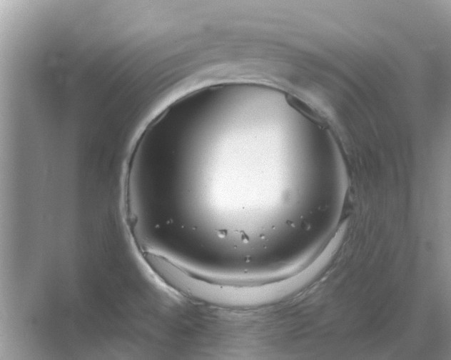 X0000068771528200605121648