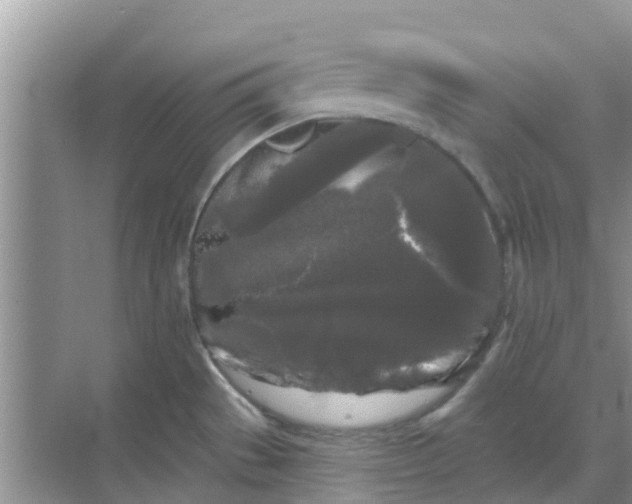 X0000068771529200605121648