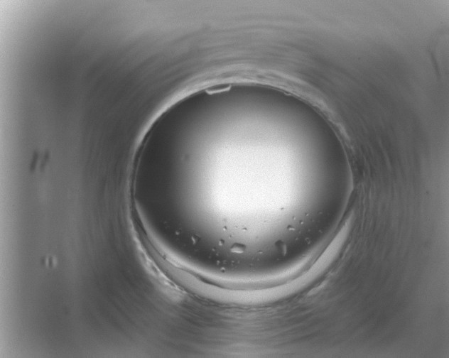 X0000068771530200605121648