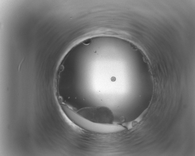 X0000068771531200605121648