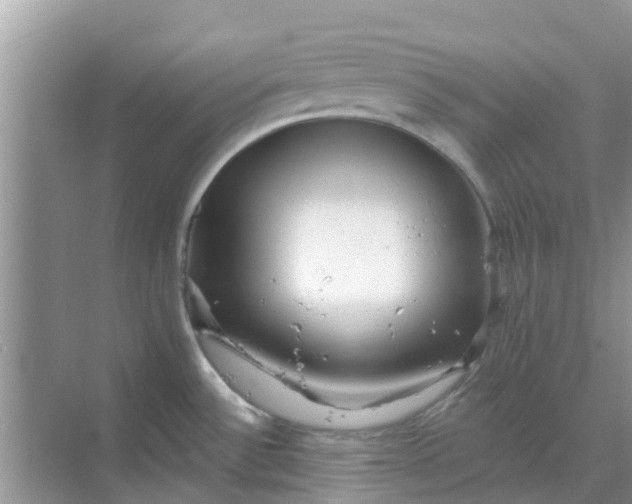 X0000068771532200605121648