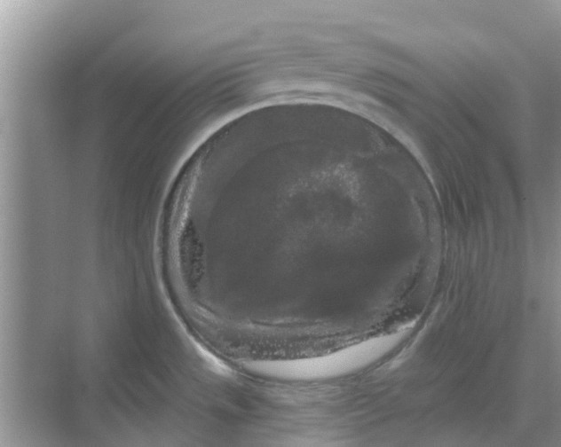 X0000068771533200605121648