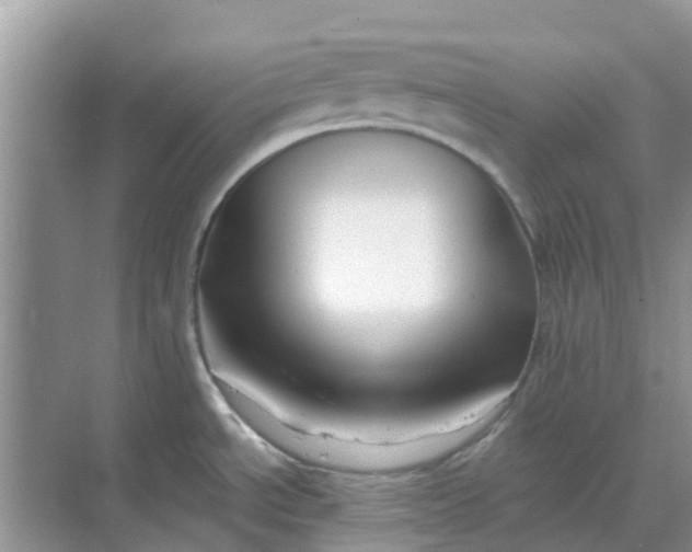 X0000068771534200605121648