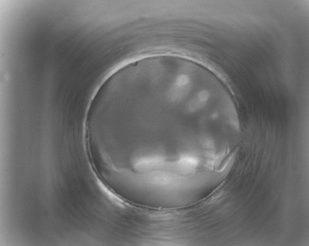 X0000068771535200605121649