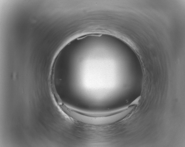 X0000068771536200605121649