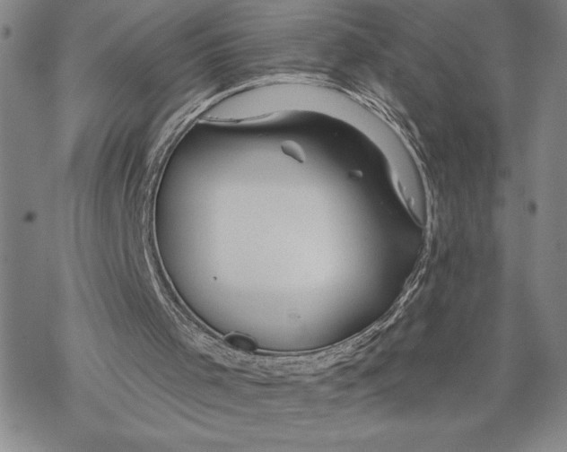 X0000068770001200605191700