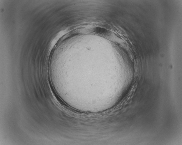 X0000068770003200605191700