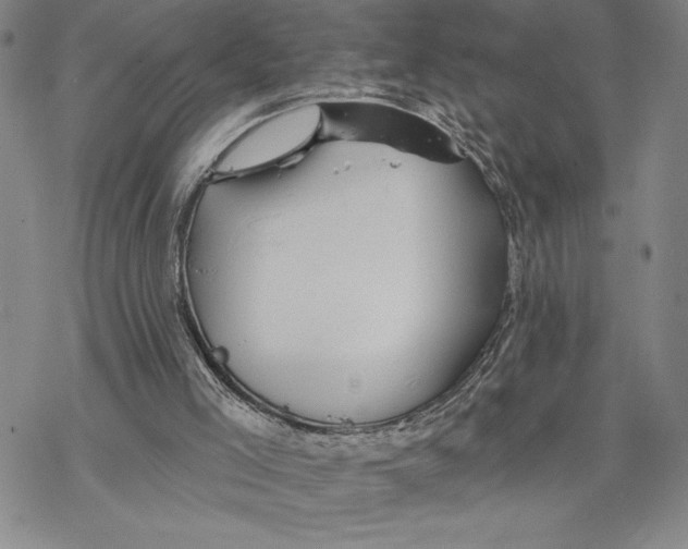 X0000068770005200605191700