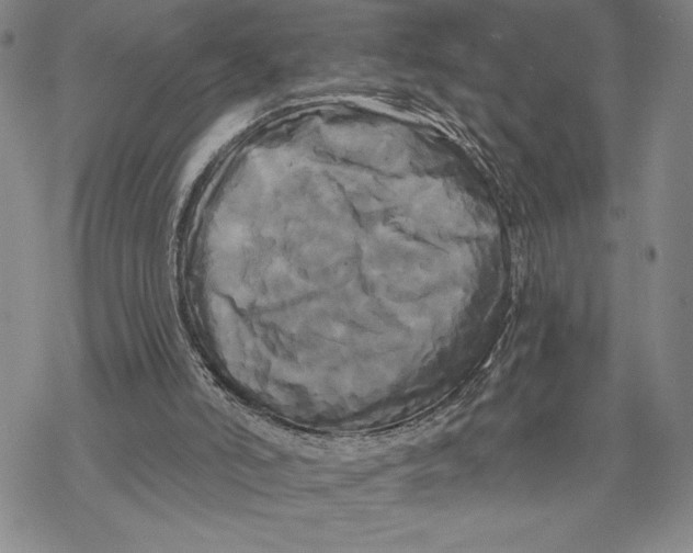 X0000068770006200605191659